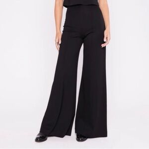 Ripley Raider Small Wide Leg High Waist Black Pants size 2